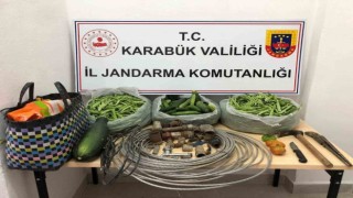 Bahçeden çaldıkları poşet poşet salatalık ve fasulyelerle ormanda yakalandılar