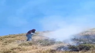 Bahçesarayda makilik alan yandı