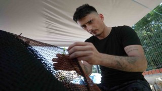 Balıkçılar yeni sezonda palamuttan umutlu: Türkiye bu sene palamuda doyacak
