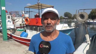 Balıkçıların av sezonundan palamut ve hamsi beklentisi