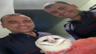 Balıkesir İtfaiyesi bacaya sıkışan baykuşu kurtardı
