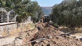Balıkesirde, 80 bin zeytin ağacı suyla buluştu