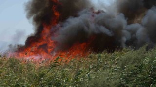 Balıkesirde kuşların göç yolundaki sazlık alanda yangın