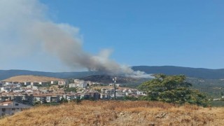 Balıkesirde orman yangını