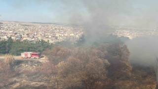 Balıkesirin Çamlık mevkiinde çıkan arazi yangını söndürüldü