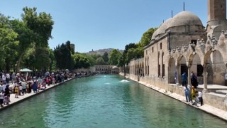 Balıklıgöle düşen çocuk kurtarıldı