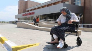 Başıboş köpeklerin saldırısına uğrayıp yaralanan kadın dehşet anlarını anlattı