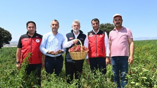 Başkan Görgel: "Maraş Biberi Üretim Potansiyelimizi Artırmayı Hedefliyoruz"