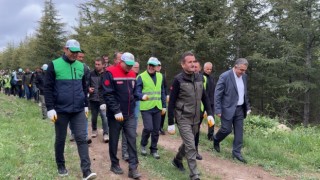 Başkan Özdoğan; Hacılarda orman varlığı artıyor