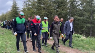 Başkan Özdoğan: Hacılarda orman varlığı artıyor