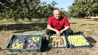 Başkan Şadi Özdemirden üreticilere ‘Kooperatif kurun çağrısı