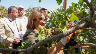 Başkan Şahin: "Her Şey Fıstık Gibi Olacak"