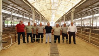 Başkan Tetik, Nazillide devam eden çalışmaları yerinde inceledi