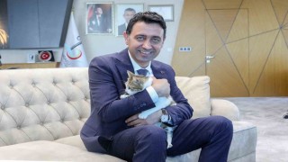 Bayraklı Belediyesi, can dostları sahiplendirme kampanyası başlattı