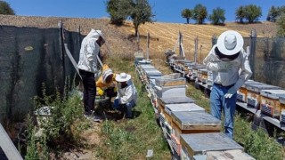 Bilecikte bal üretimi 88 tondan 221 tona çıktı