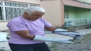 Binaya giren yılan, ekipler tarafından yakalanarak doğaya salındı