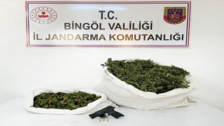 Bingölde 12 kilo esrar ele geçirildi: 1 gözaltı