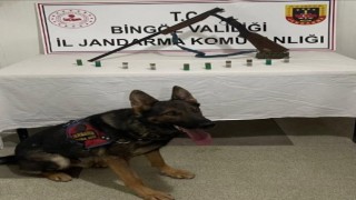 Bingölde kaleşnikof ve yivsiz av tüfeği ele geçirildi