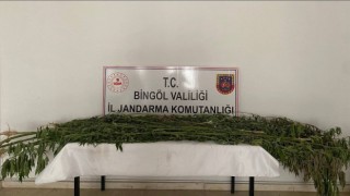 Bingölde uyuşturucu madde ele geçirildi