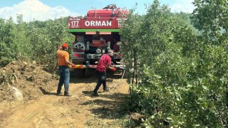 Bingöldeki orman yangını erken müdahaleyle büyümeden söndürüldü