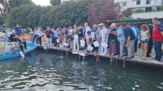 Bodrumda av sezonu açıldı: 40 bin yavru levrek denize bırakıldı