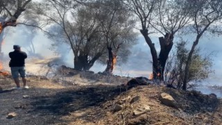 Bodrumdaki yangına müdahale sürüyor