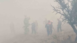 Boluda kontrol altına alınan yangın tekrar alevlendi