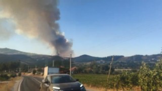 Bozdoğandaki orman yangını için Muğla sınırında önlem alındı