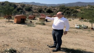 Buldanda tepkiler artınca, Başkan barınağa gidip poz verdi