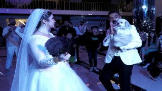 Bulut, sahibini düğününde de yalnız bırakmadı