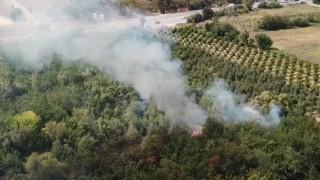 Bursada otluk alan alev alev yandı