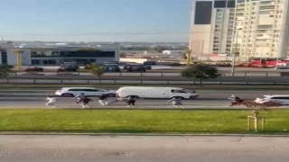 Bursada yol ortasında birbirlerine acımasızca vurdular