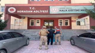 Büyükbaş hayvan hırsızları jandarmadan kaçamadı