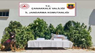 Çanakkalede uyuşturucu operasyonu