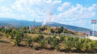 Çankırı'da orman yangını
