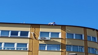 Çatıya çıkan şahıs ekipleri harekete geçirdi