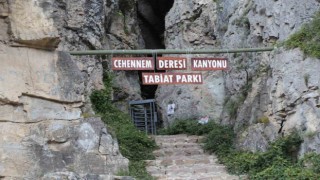 Cehenneme turnike