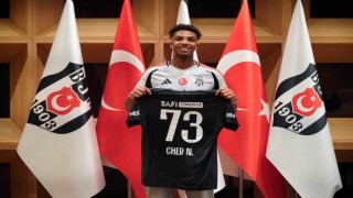 Cher Ndour, Beşiktaşta