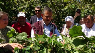 CHP Lideri Özelden fındık fiyatı eleştirisi: “Hızla revize edilmeli