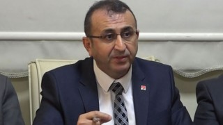 CHP’li Ateş’ten Sokak Hayvanları Yasasına Sert Eleştiri