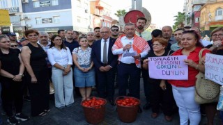 CHPli başkan domates eylemine katılmayan çiftçiye sitem etti
