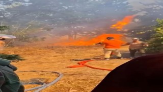 Çiftlikte çıkan yangın kontrol altına alındı