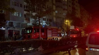 Çıkan yangında dairede bulunan 2 kedi tüm çabalara rağmen kurtarılamadı