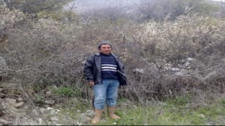 Dananın saldırdığı adam ağır yaralandı