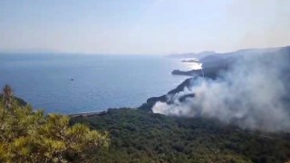 Datçadaki orman yangınıyla ilgili tutuklu sayısı 2ye yükseldi