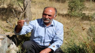 Dayanılmaz kokusuna rağmen şifa bulmak için kana kana içiyorlar