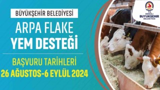 Denizli Büyükşehir büyükbaş hayvan üreticilerine yem desteği sağlayacak