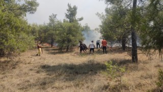 Denizlide orman yangınına havadan ve karadan müdahale ediliyor