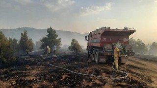 Denizlide orman yangınına müdahale ediliyor