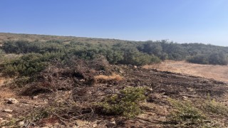 Didimde hazine arazisinde izinsiz yer açan şahıs jandarmaya takıldı